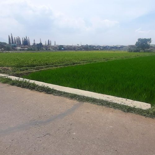 Tanah Rancaoray Tegalluar